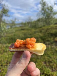 nordic fire grillost