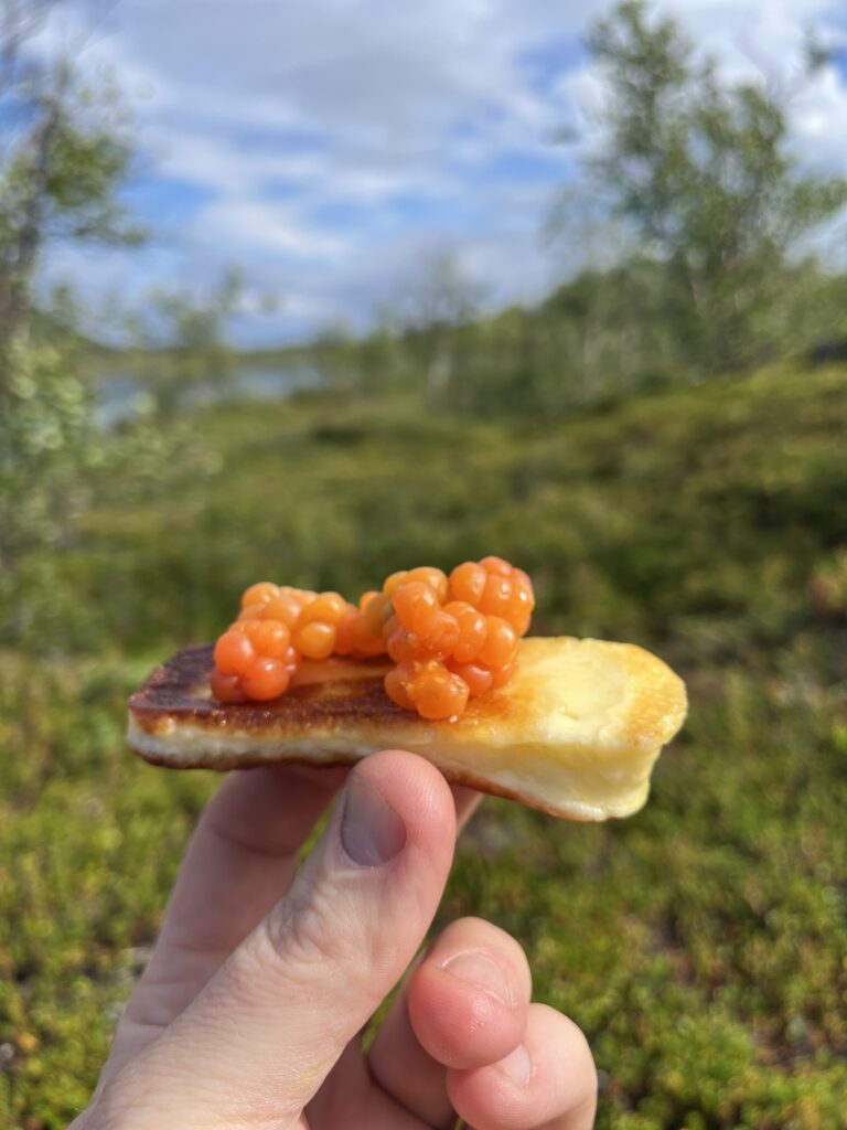 Prova på utomhus nordic fire grillost