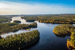 algens historia 1 anton larsson